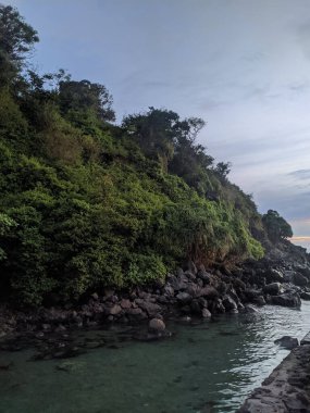 A vertical shot of rocky hillside near the river covered with green vegetation.