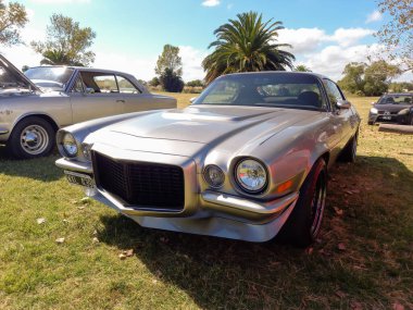 Gri gri spor Chevrolet Camaro Coupe 1972 'de kırsal alanda GM tarafından üretildi. Doğa, çimen, ağaçlar. Klasik güçlü araba..
