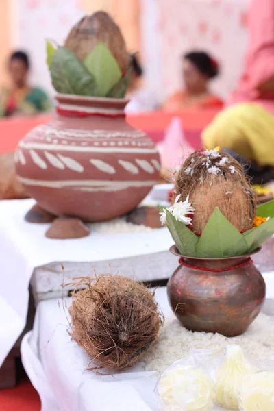 Vertical Shot Tiny Coconuts Placed Different Jugs Several Green Leaves — Fotografia de Stock