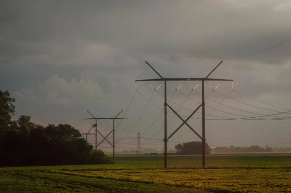 Scenic View Overhead Power Lines Field Gloomy Rainy Day — Fotografia de Stock