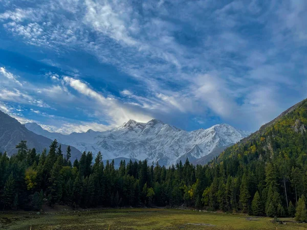 Una Vista Aérea Hermoso Bosque Cerca Las Montañas —  Fotos de Stock