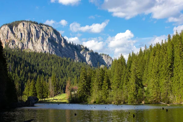 Landskap Med Röda Sjön Rumänien Sommaren Grön Blå Himmel — Stockfoto