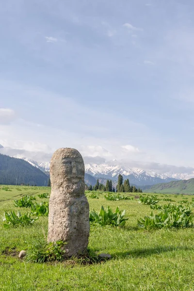 Eine Vertikale Aufnahme Einer Steinmännchen Skulptur Einem Grünen Feld Unter — Stockfoto