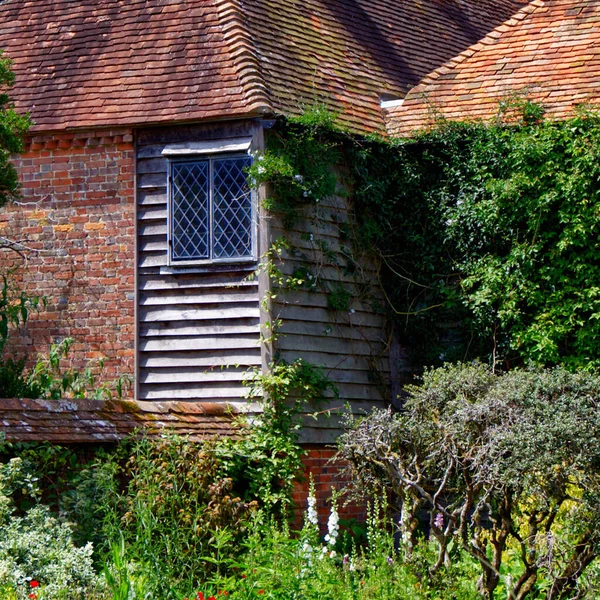 Old Wooden House Overgrown Green Leaves Sunny Day — Foto Stock