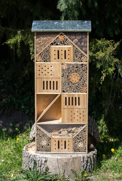 Close Insect Hotel Insect House — Stockfoto