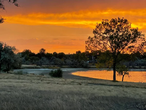 Aerial View Beautiful Lake Forest Sunset — Stok fotoğraf