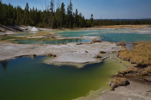 Thermal Pools Norse Geyser Basin Yellowstone National Park Wyoming — Stock fotografie