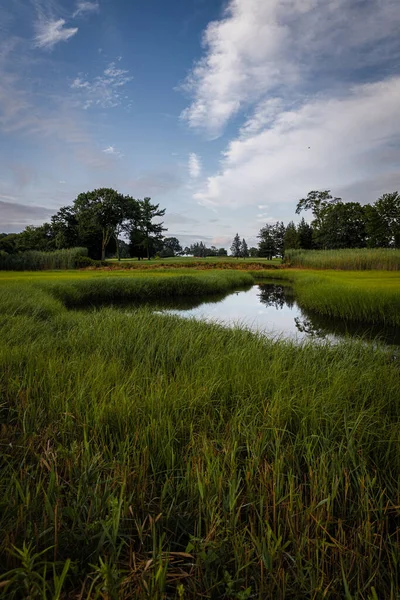 Vertical Shot Golf Course Rhode Island Small Pond Green Grass — Stock Photo, Image