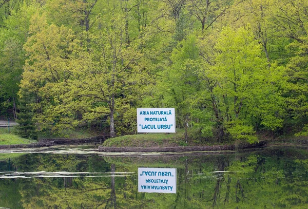 Tourist Resort Famous Balneoclimateric Treatments — Photo