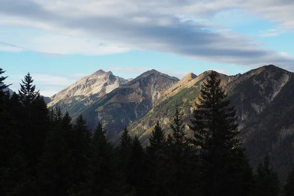 Beautiful View Mountain Range Alps Coniferous Forest — Fotografia de Stock