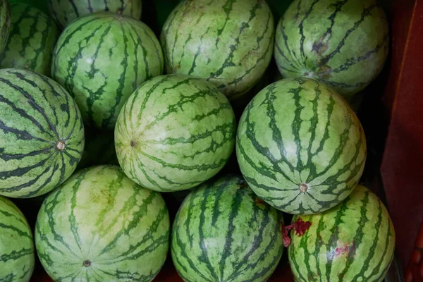Watermelons Stacked Placed Shelf Sale Market — Photo