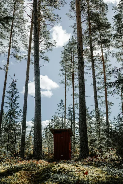 Plan Vertical Une Cabane Bois Dans Forêt — Photo