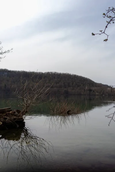 曇り空の日に森の近くの湖 — ストック写真