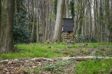 Almanya 'da yaz mevsiminde tipik bir Alman av alanı.