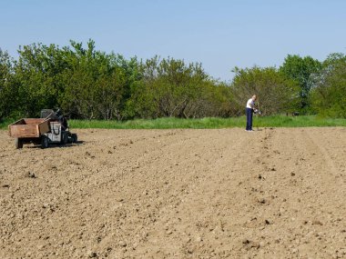 Emilia Romagna İtalya 'daki organik toprağa tohum eken güçlü İtalyan çiftçi.