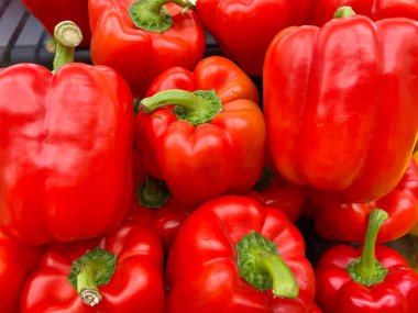 Yakın çekimde olgun kırmızı dolmalık biber.