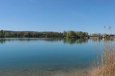 Almanya 'nın Bavyera şehrinde güneşli bir günde yeşil ağaçlarla çevrili bir gölün manzarası