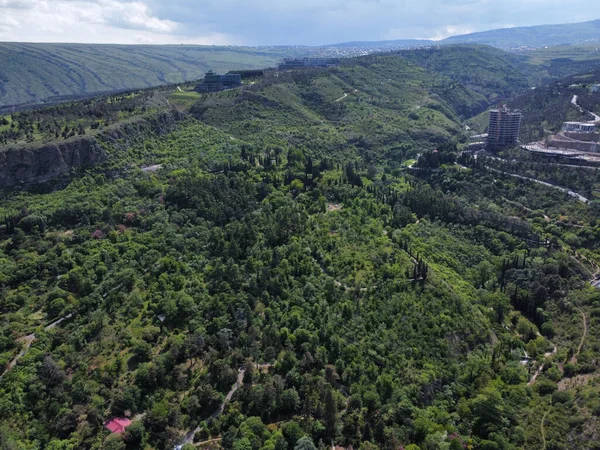 An aerial view of dense green trees with buildings in the background
