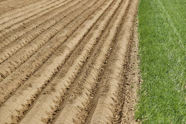 Het Geploegde Veld Geilenkirchen Duitsland Boerderijlandschap — Stockfoto