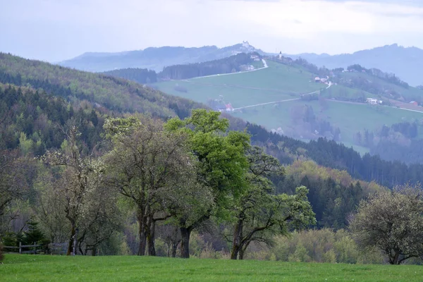 オーストリアのSonntagbergにある山の森と建物の景色 — ストック写真