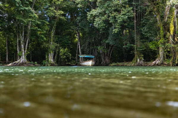 Breathtaking View Abandoned Fishing Boat Shore Surrounded Lush Green Trees — Stock Photo, Image