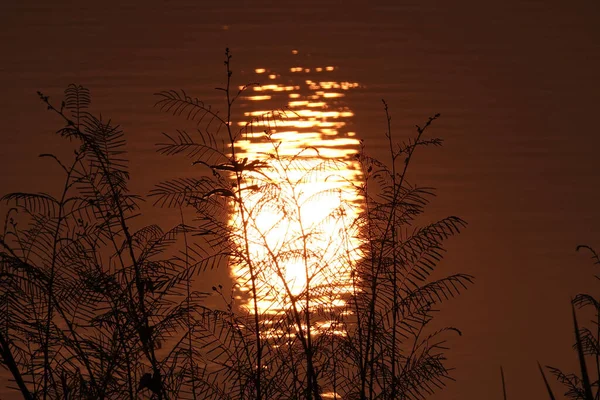 Beautiful View Lake Reflection Sunbeams — Stockfoto