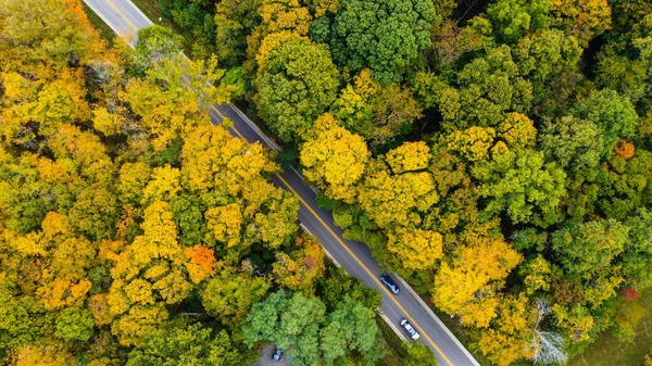 An aerial shot of a road going through woods by Indiana University, Bloomington, Indiana