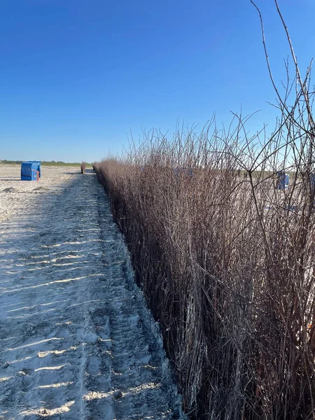 Vertikal Bild Sandstrand Med Omklädningsrum Och Torra Grenar Mot Blå — Stockfoto