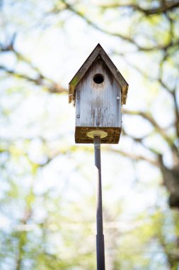 Güneşte arka bahçede duran yıpranmış eski bir kuş evinin dikey çekimi.
