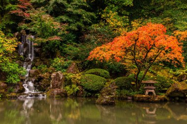 A breathtaking landscape with a small waterfall surrounded by colorful trees in the woods