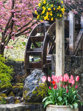 A beautiful view of the water wheel and blossoming trees on a sunny day at The Butchart Gardens, Victoria, British Columbia, Canada