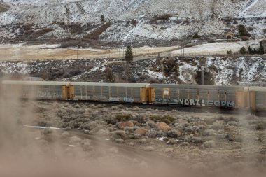 A selective of a cargo train traveling through tundra in Nevada