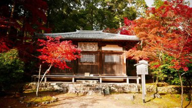The Kodaiji Temple in Kyoto, Japan in fall