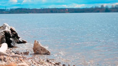 Sahilde parlak bir yaz günü. Kıyıda soyut şekilli küçük kayalar var.