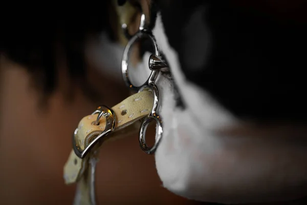 Closeup Handmade Leather Horse Buckles — Stock Photo, Image