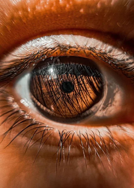 Kahverengi Bir Insan Gözünün Detaylarını Gösteren Dikey Bir Makro Çekim — Stok fotoğraf