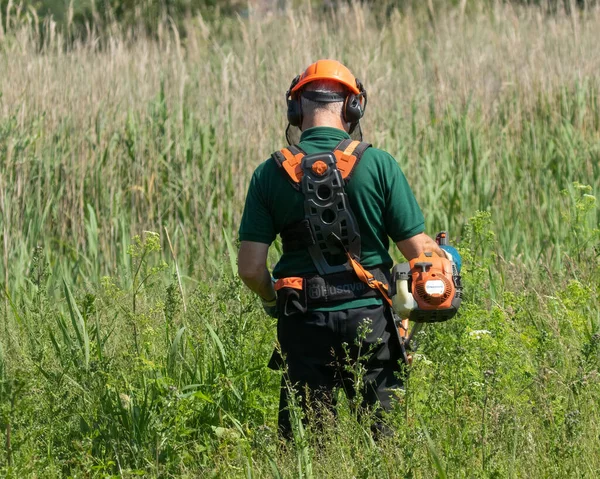 Rear View Workman Clearing Long Grass Weeds Husqvarna Tools Safety — Foto de Stock