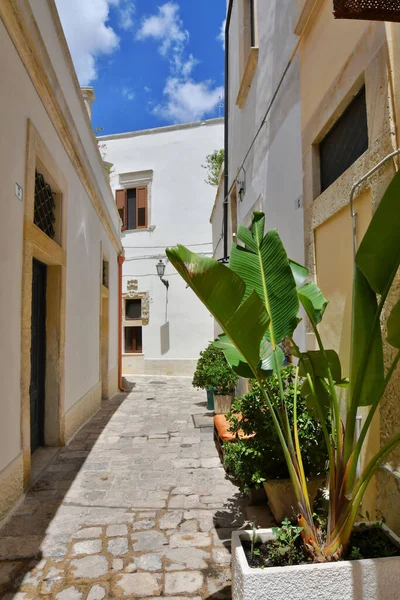 Lecce Ilindeki Eski Bir Köy Olan Galatina Nın Eski Evleri — Stok fotoğraf