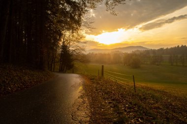 Slovenya 'nın büyüleyici günbatımı arka planında, ormandan yola