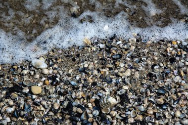 Kumsaldaki kumlu zemine yakın çekim mermiler.