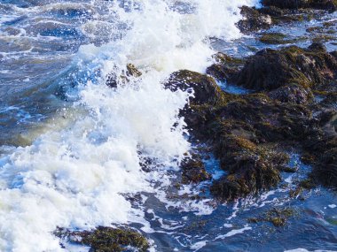 Kayalara vuran ve güneş ışığı altında su sıçratan güzel bir su görüntüsü.