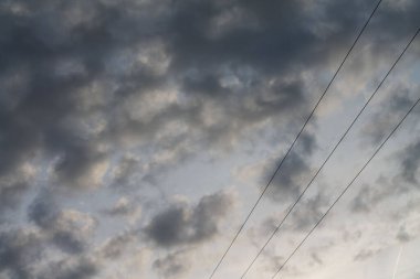 Bulutlu bir gökyüzüyle ormandaki ağaçların arasında sürüyorum..