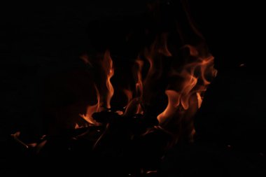A closeup shot of orange flames in the dark coming from a campfire in the forest