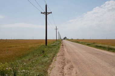 Mavi gökyüzünün altındaki bir tarlanın ortasında elektrik direkleri boyunca boş bir yol.