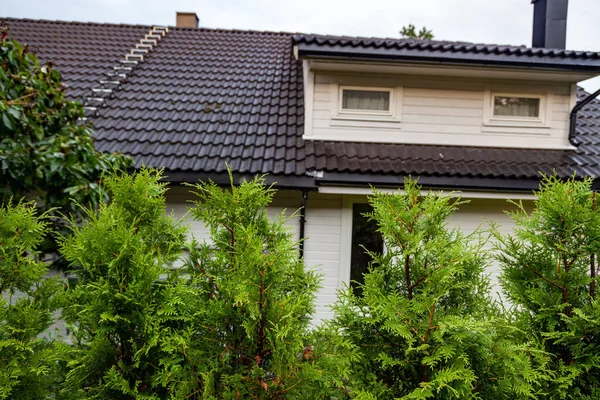 A closeup of the roof of a house with trees growing in front of it