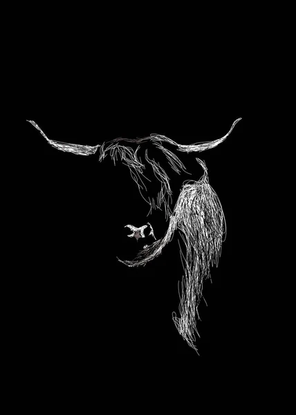 Rendering Sketch Buffalo White Black Background — Stok fotoğraf