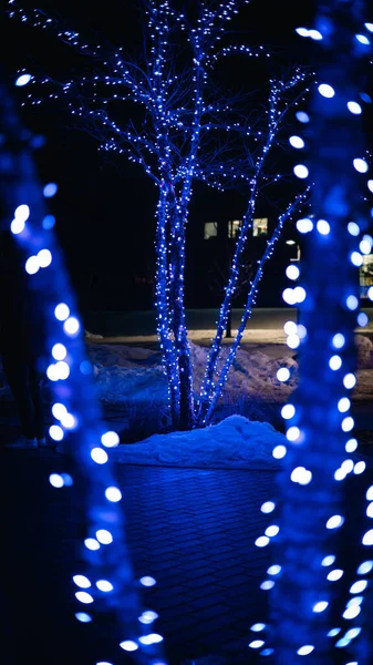 A vertical shot of blue lights on trees at night in winter
