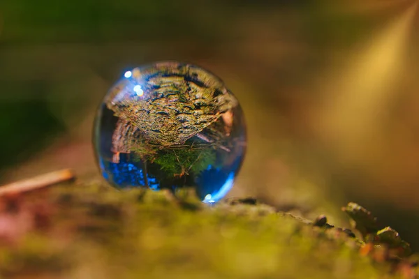 Closeup Crystal Ball Reflection Nature Thuringian Forest — Stockfoto