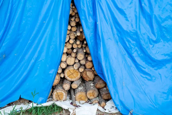 Pile of firewood stacked on a farm to spend the cold winter, it is covered by plastic to prevent it from getting wet.