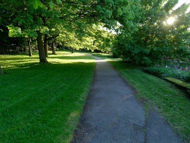 A scenic view of an asphalt pathway surrounded by greenery in Dearne Valley Country Park in Barnsley, UK